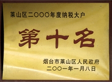 2002年萊山區(qū)納稅大戶第十名